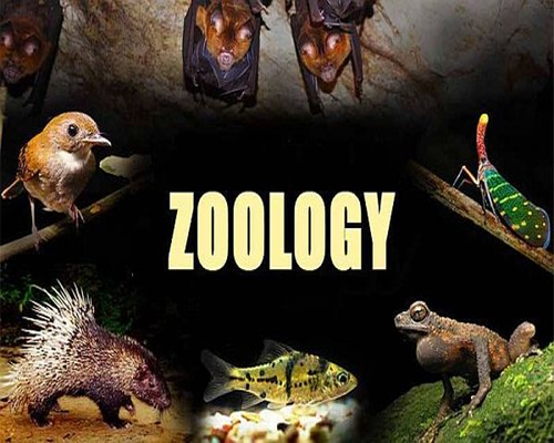 Zoology